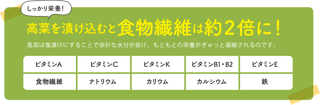 高菜を漬け込むと食物繊維は約２倍に！