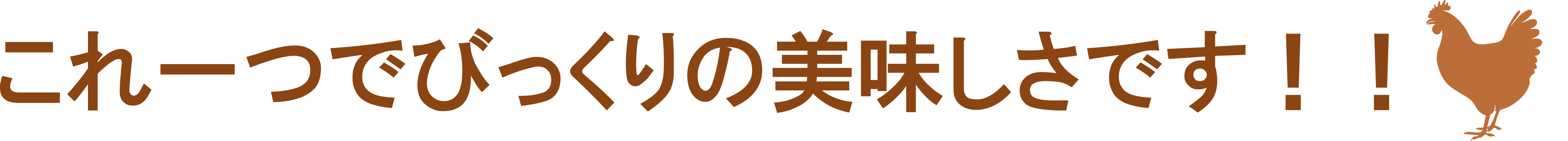 これ一つでびっくりの美味しさです！！